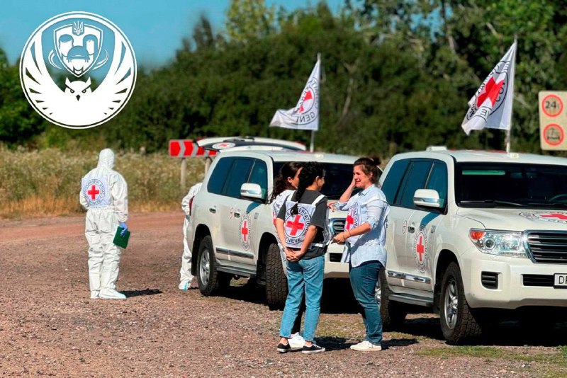 Těla 250 padlých ukrajinských obránců byla vrácena zpět na Ukrajinu