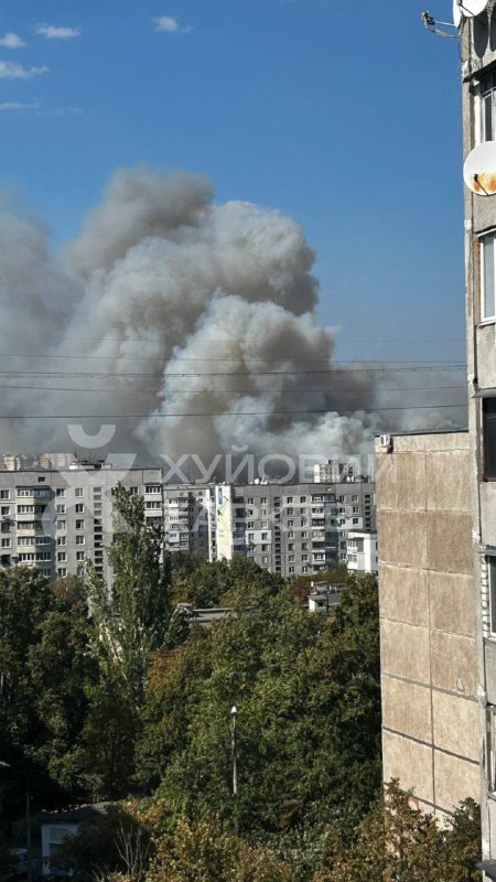 Grande incêndio florestal perto de Kharkiv