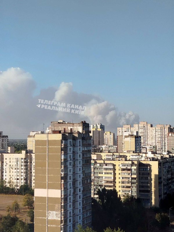 Incendiu de pădure mare în districtul Vyshgorod din regiunea Kyiv