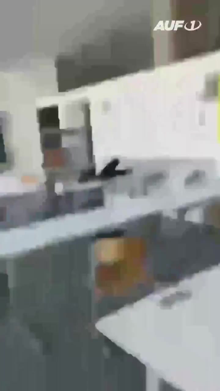 Death toll in Austria shooting rises to 9, including the shooter