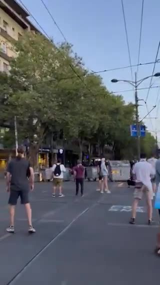 Dit is een video van de brutaliteit bij het Vuk-monument vanochtend om 4.30 uur, toen een student uit Čačak werd gearresteerd.