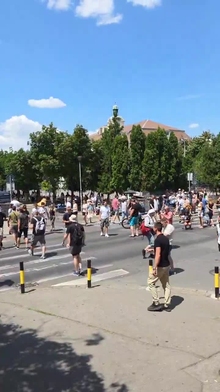 Zemun: Burgers steken voortdurend de voetgangersoversteekplaats over