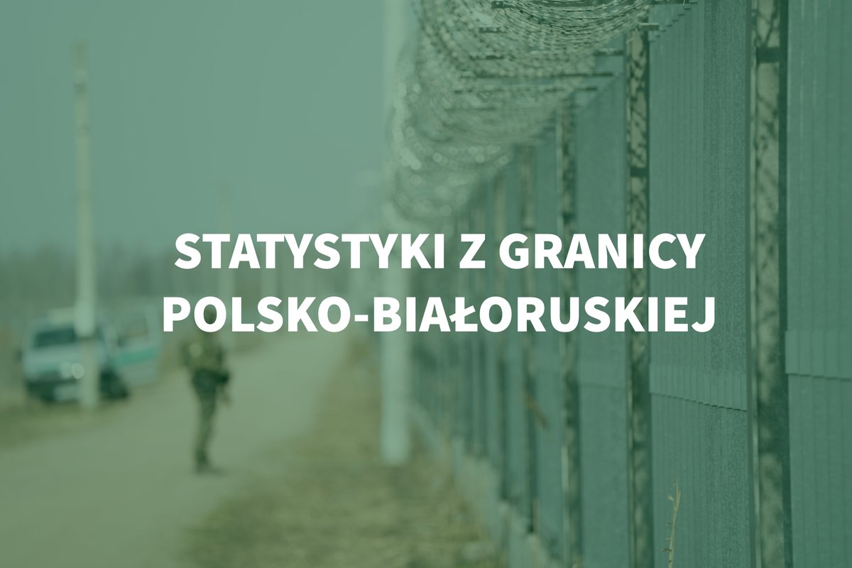 Polish Border Guard: On July 28, over 160 attempts to illegally enter Poland were recorded at the border with Belarus. Actions are underway to apprehend 34 individuals.