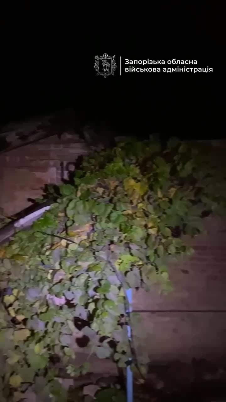 روسیه شبانه به تأسیسات زیرساخت انرژی در زاپوریژژیا حمله کرد - دولت منطقه‌ای. یک کودک کشته و دو نفر دیگر زخمی شدند